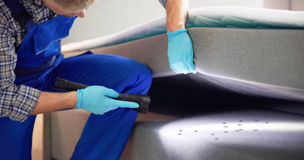 Pest Control for Restaurants in Algona, WA