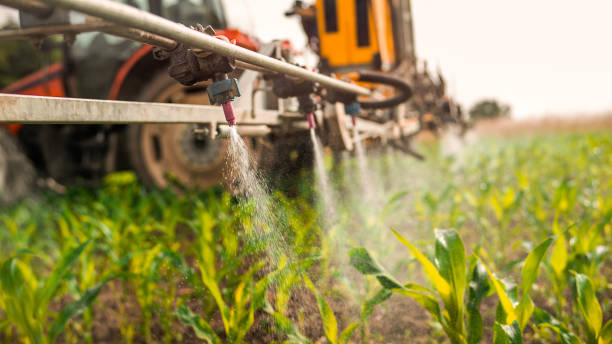 Best Mosquito Control Services  in Algona, WA