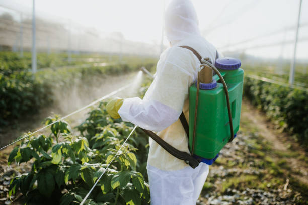 Best Pest Prevention Services  in Algona, WA
